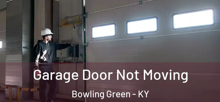  Garage Door Not Moving Bowling Green - KY