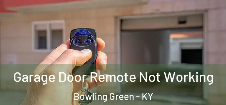  Garage Door Remote Not Working Bowling Green - KY
