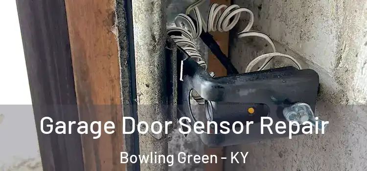 Garage Door Sensor Repair Bowling Green - KY
