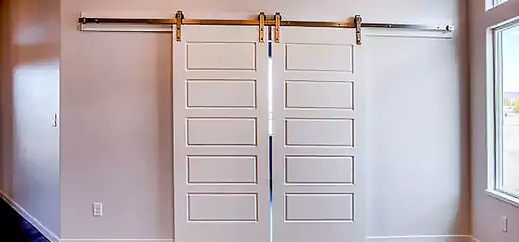 Glass Barn Door with Installation Hardware Kit Bowling Green