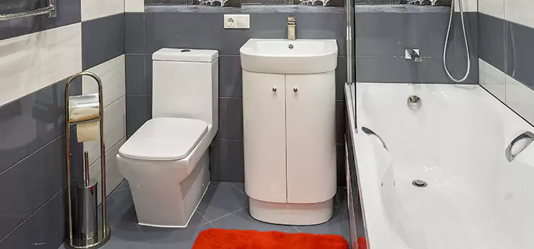 Hansgrohe Shaving Mirror Bowling Green