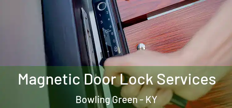 Magnetic Door Lock Services Bowling Green - KY