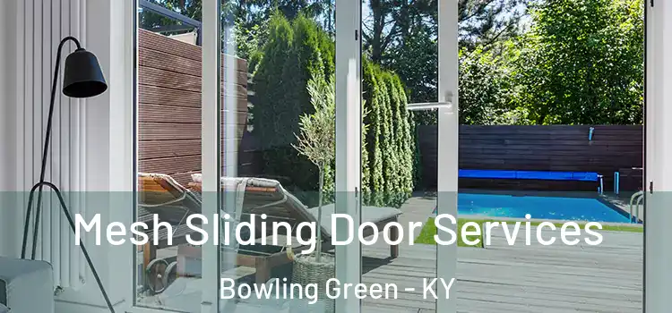 Mesh Sliding Door Services Bowling Green - KY