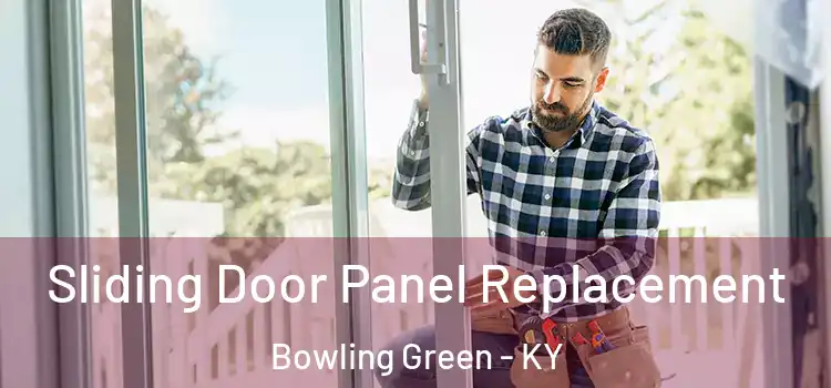  Sliding Door Panel Replacement Bowling Green - KY